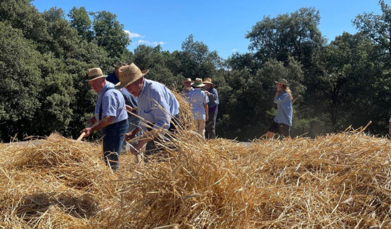 Festes del Segar i el Batre a Avià