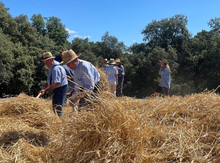 Festes del Segar i el Batre a Avià