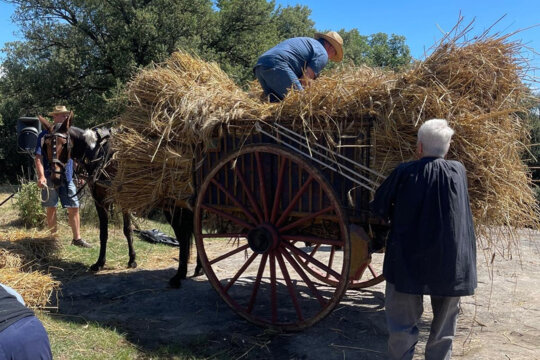 Recollint la palla
