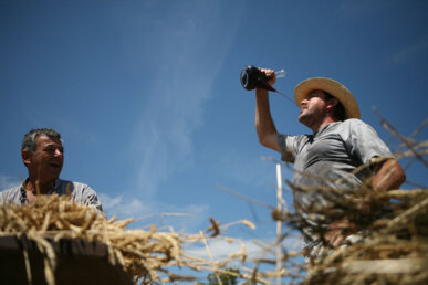 Bevent amb el porró