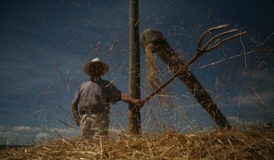 Festa del Batre a Sant Climent de Peralta