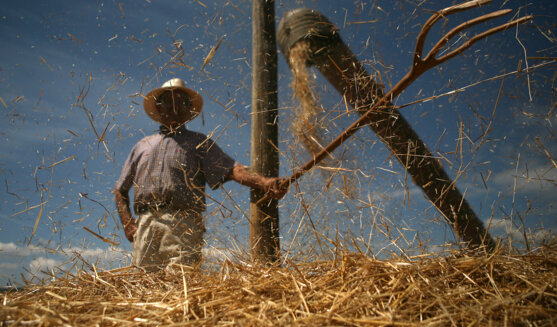 Festa del Batre a Sant Climent de Peralta