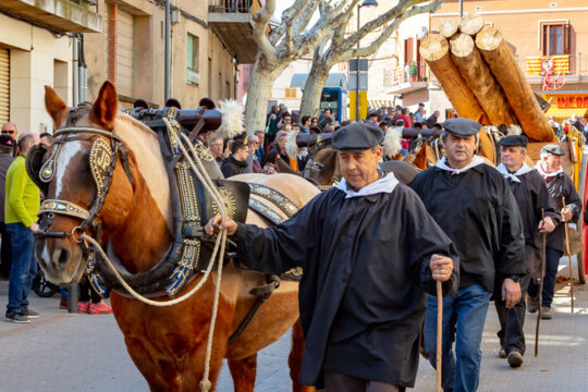 Traginers a la cavalcada