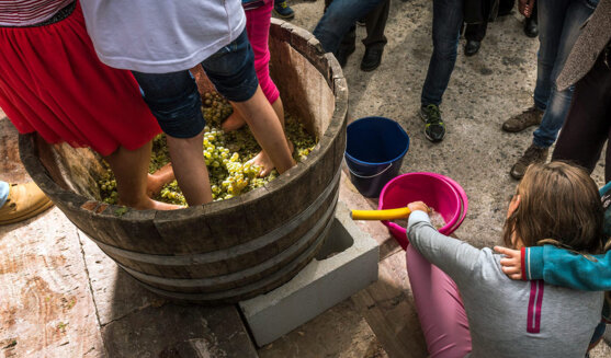 Festa de la Verema del Bages. Foto: Oscar Rodbag