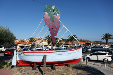 Els dos símbols de la festa