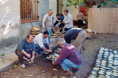 Torrant les arengades de la clotxa
