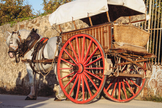 Carro per transportar les samals