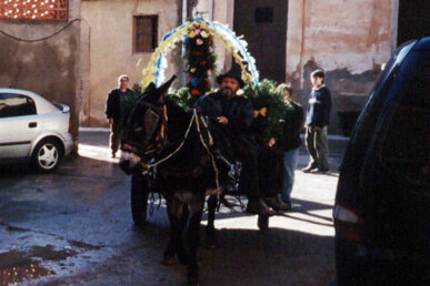 El carro que duu la canalla per les cases