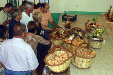 Una mostra de bolets