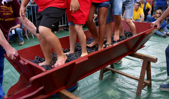 Les festes de la verema