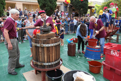 Festa de les veremes a Banyuls