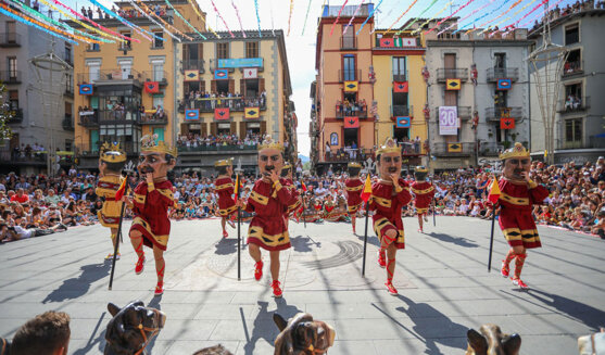 Festes del Tura d'Olot