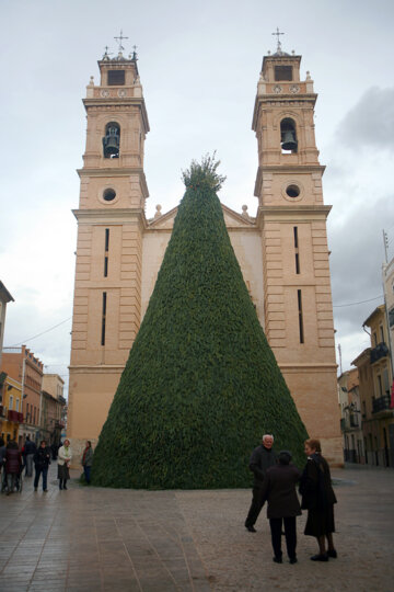 La foguera plantada a plaça