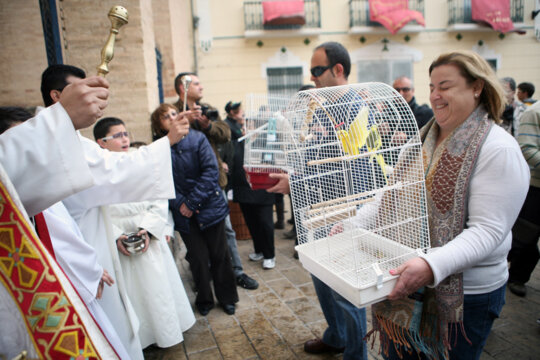 Benedicció dels animals