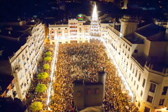 Dia dels músics