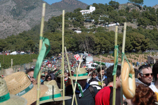 La Romeria de les Canyes