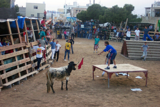 Bou de plaça