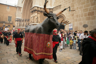 El bou