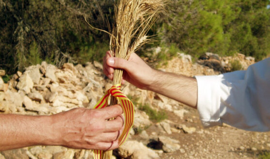 Festes de Santa Maria a Formentera