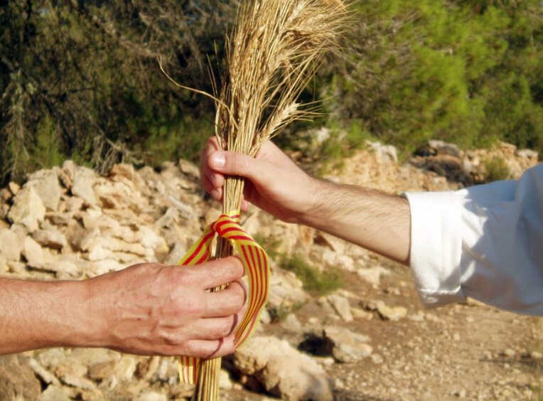 Festes de Santa Maria a Formentera