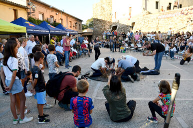 Concurs d'esclovellar avellanes