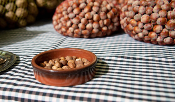 Fira de l'avellana de la Selva