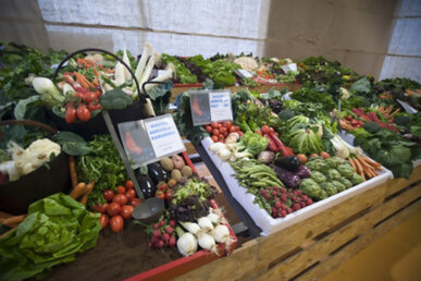 Mostra de productes agrícoles