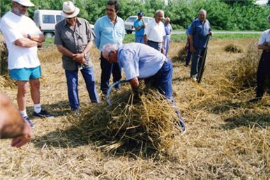 Fent garbes, l'any 1998