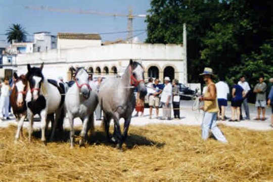 Demostració del batre amb animals, l'any 1998