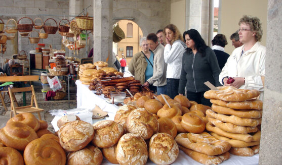 Del camp a la taula a Castelló d'Empúries
