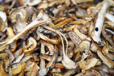 Ous de reigs assecats