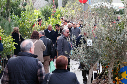 Secció de planter