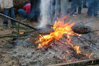 Torrada de castanyes