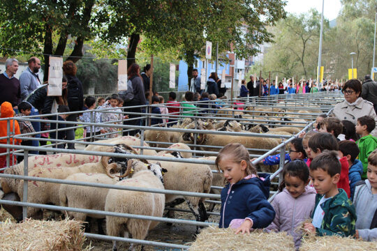 Un moment de la fira