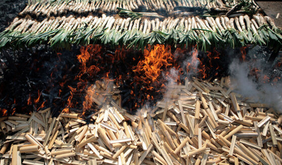 Fira de la ceba i el calçot de Vila-sacra