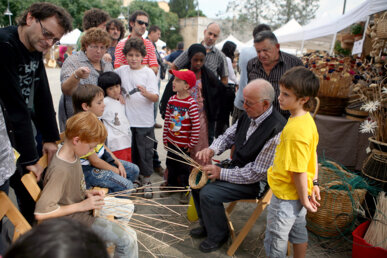 Transmissió generacional