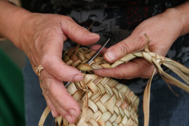 Les mans del cisteller