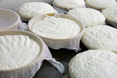 El mató té un sabor fresc i dolç. Foto: ACREFA