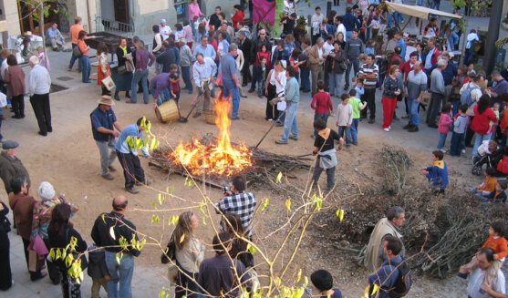 Fira de la Castanya a Viladrau