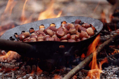 Castanyes al foc