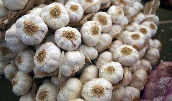 Fira de l'all a Cornellà del Terri