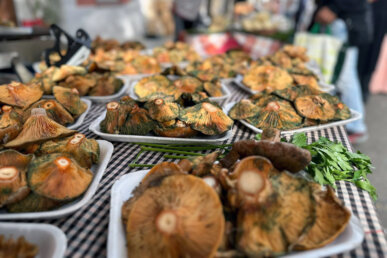 Parades amb bolets frescos