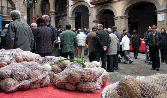 Fira del trumfo i la tòfona a Solsona