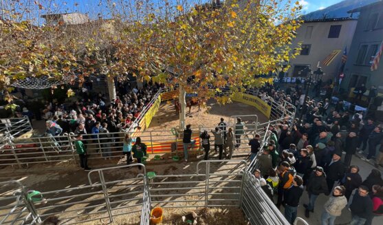 Fira de Santa Llúcia a Sant Feliu de Pallerols