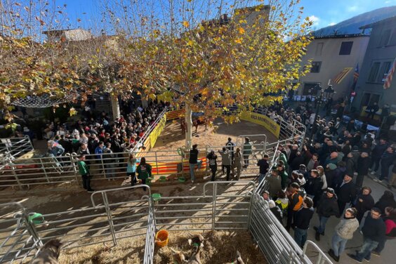 Fira de Santa Llúcia a Sant Feliu de Pallerols