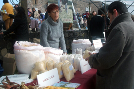 Parada de la fira