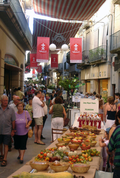 Vista del carrer principal