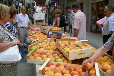 Parada amb albercocs