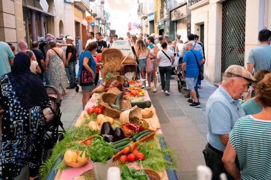 Exposició de productes del camp català