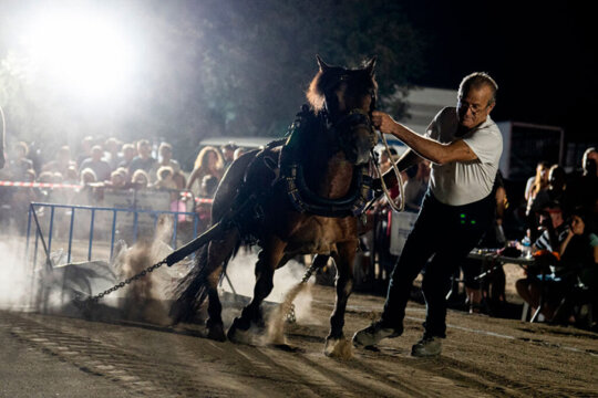 Concurs d'arrossegament